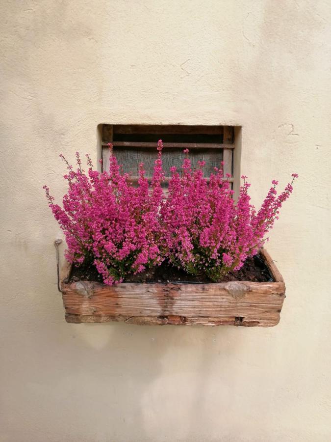 Lady Cocca Bed & Breakfast Savio di Ravenna