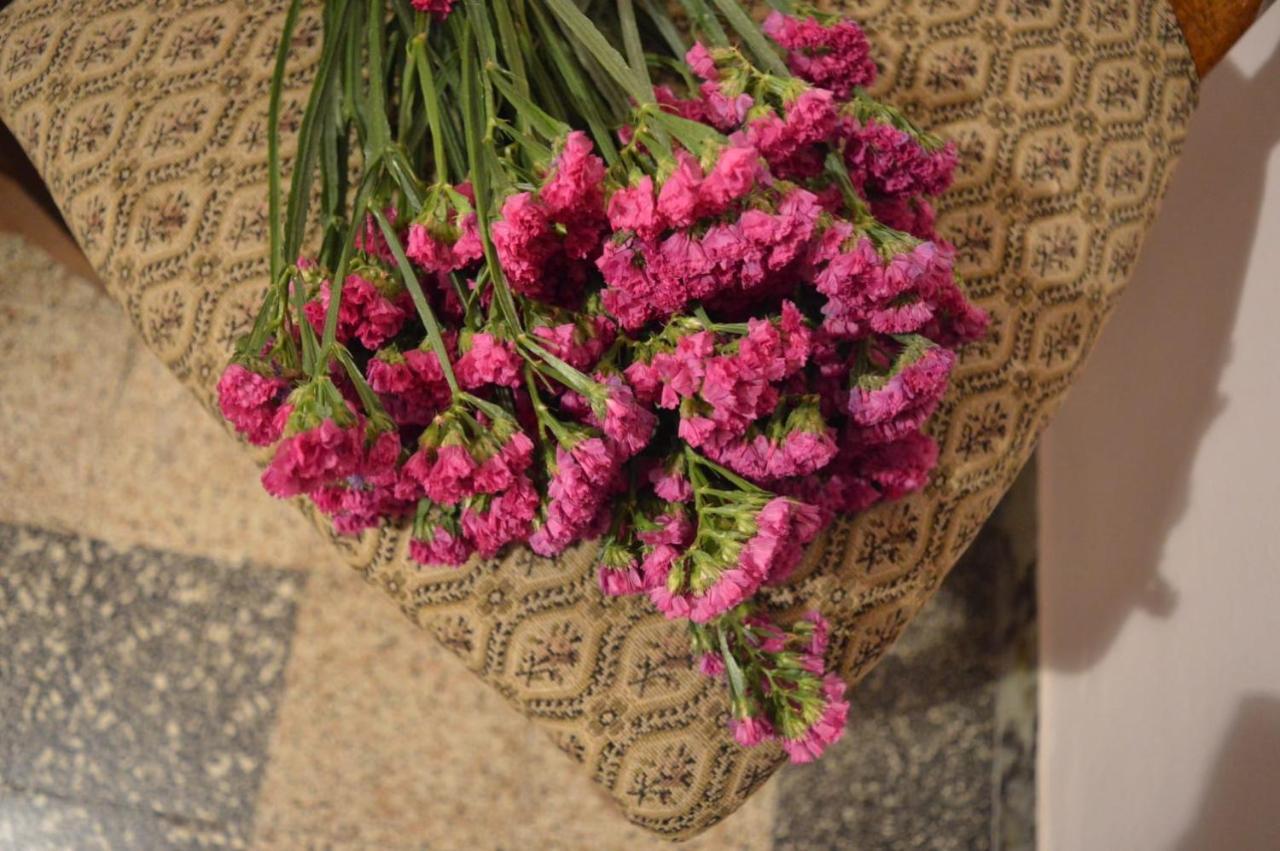Bed & Breakfast Lady Cocca Savio di Ravenna